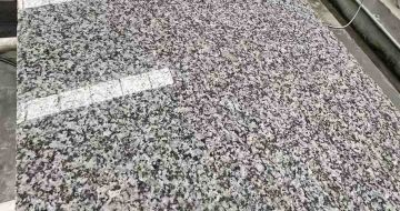 萍乡 芙蓉白光面