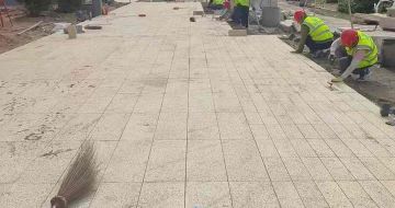 萍乡黄金麻荔枝面地铺案例