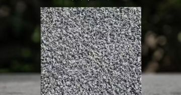 萍乡 芝麻黑荔枝面