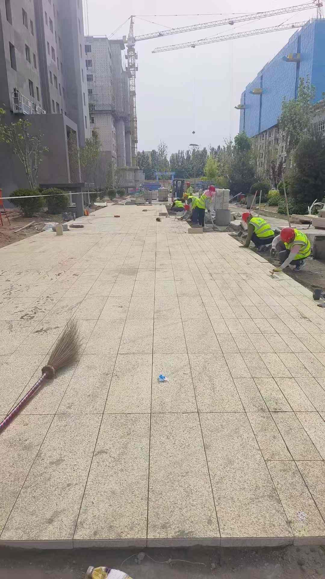 萍乡黄金麻荔枝面地铺案例