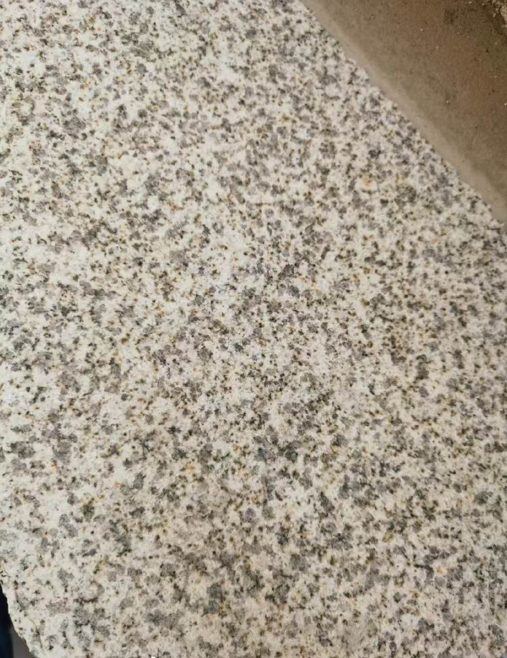 萍乡 黄金麻中黄光面